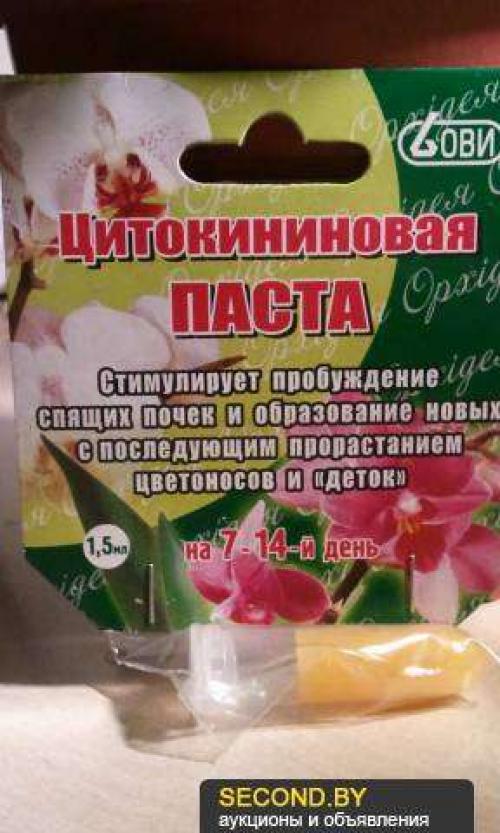 Цитокининовая паста применение на орхидеях для корней. Размножение орхидеи: чудеса цитокининовой пасты