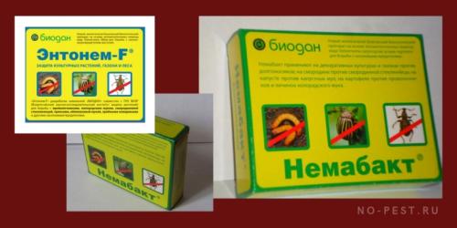 Биопрепараты от хруща. Биологический способ защиты