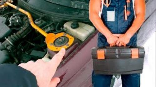 Как вырастить алоэ из семян. Новости