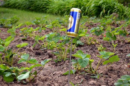 Как бороться с гадюками. Отпугивание