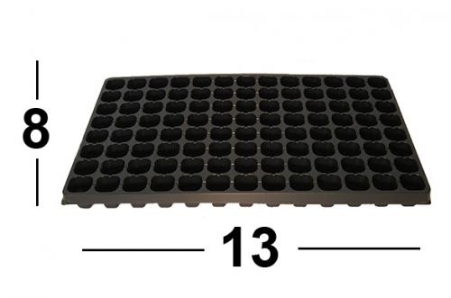 Хризантема Мультифлора фото и названия. Хризантема