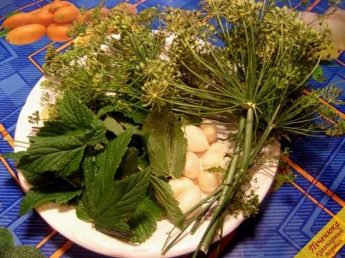 Как законсервировать на зиму малосольные огурцы. Малосольные огурчики, законсервированные на зиму 10