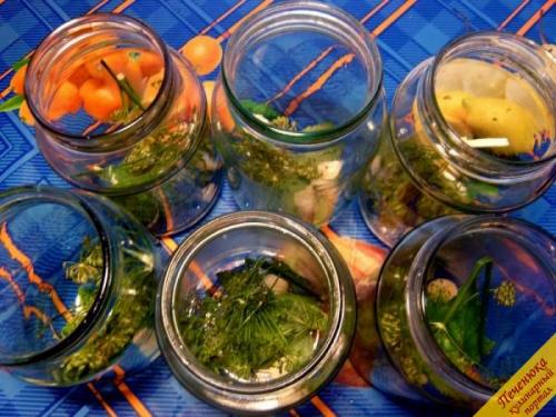 Как законсервировать на зиму малосольные огурцы. Малосольные огурчики, законсервированные на зиму 11