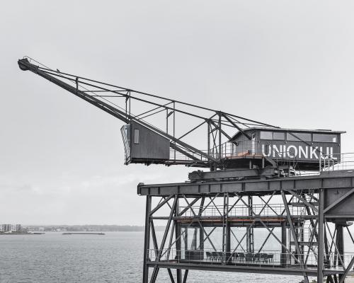 Редкие гости. Предложения со словосочетанием «редкий гость» 04