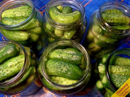 Как законсервировать на зиму малосольные огурцы. Малосольные огурчики, законсервированные на зиму 12