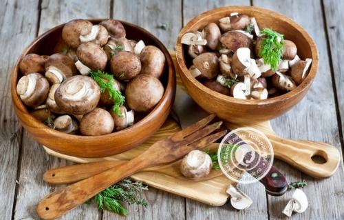 Как заготовить грибы на зиму. Почему заготовки из грибов настолько популярны?