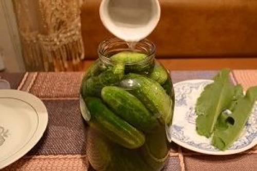 Огурцы малосольные на зиму без стерилизации. Огурцы малосольные, засоленные в банках — «Бабушкин рецепт»