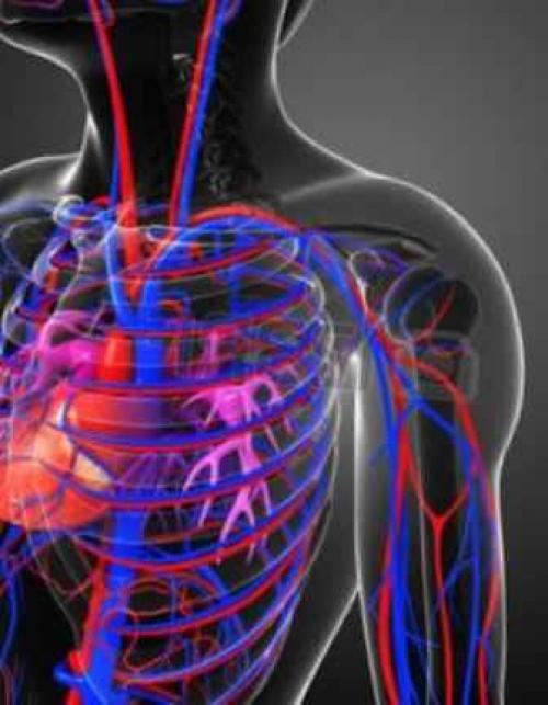 Что происходит с организмом когда бросаешь пить по дням. Бросил пить, последствия по дням