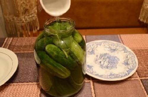 Огурцы малосольные на зиму без стерилизации. Огурцы малосольные, засоленные в банках — «Бабушкин рецепт»