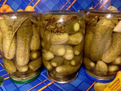 Как законсервировать на зиму малосольные огурцы. Малосольные огурчики, законсервированные на зиму 14