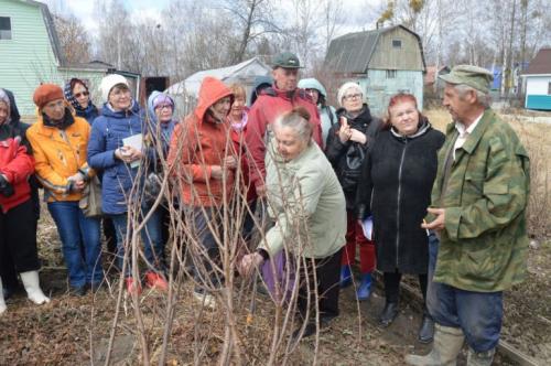 Сергей чудопалов из хабаровска. Начались практические занятия у сортоиспытателя Сергея Чудопалова