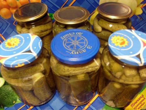 Как законсервировать на зиму малосольные огурцы. Малосольные огурчики, законсервированные на зиму 13