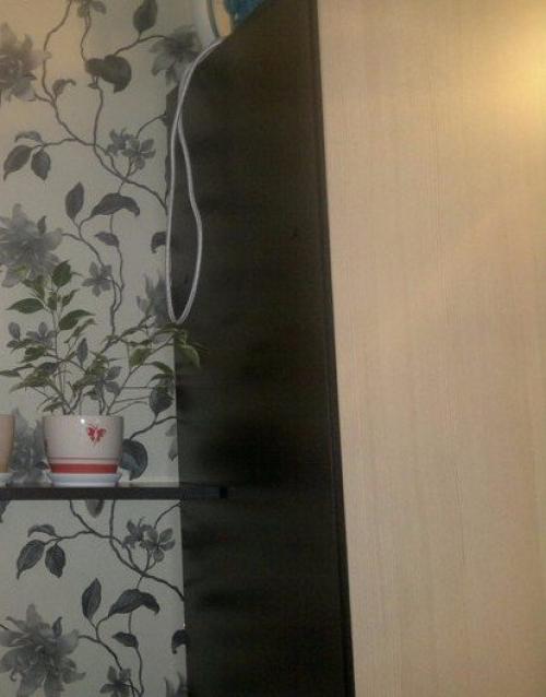 Как спасти фикус бенджамина. Помогите спасти фикус Бенджамина!