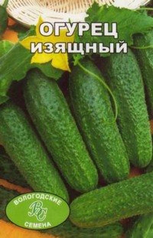 Сорта огурцов для ленинградской области для теплиц. Семена огурцов для ...