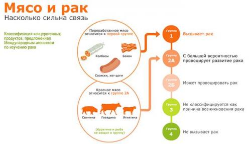 Что будет с вашим организмом. Что произойдет с вашим телом, если перестать есть мясо 02