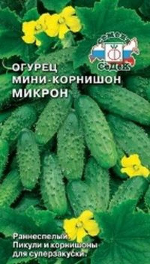 Сорта огурцов для ленинградской области для теплиц. Семена огурцов для ...