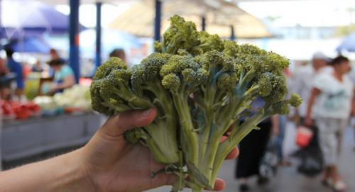 Как правильно приготовить брокколи. Как готовить брокколи