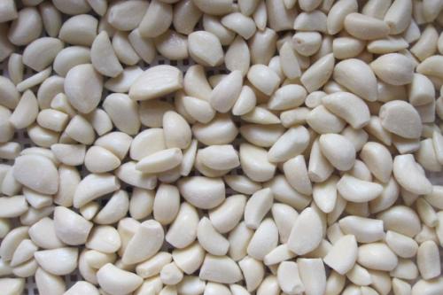 Можно ли заморозить листья чеснока. Как заморозить чеснок в морозилке, чтобы он оставался вкусным