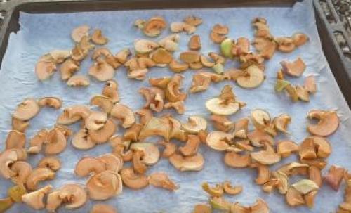 Как сушить яблоки на зиму в духовке газовой плиты. Как высушить яблоки в духовке