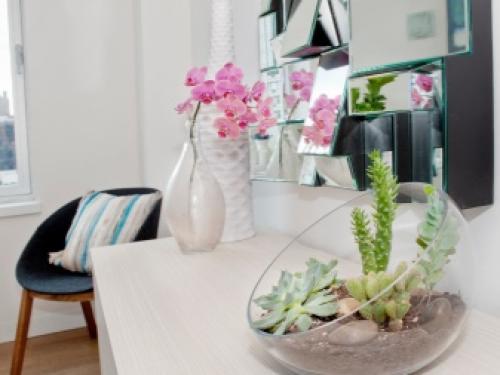 Иван-да-марья комнатный цветок. 08