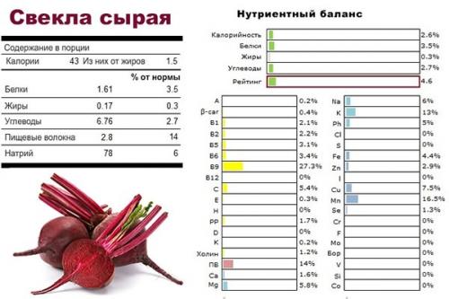 Свекла польза и вред для мужчин. Полезные свойства для мужского организма 02 Свекла польза и вред для мужчин. Полезные свойства для мужского организма 02