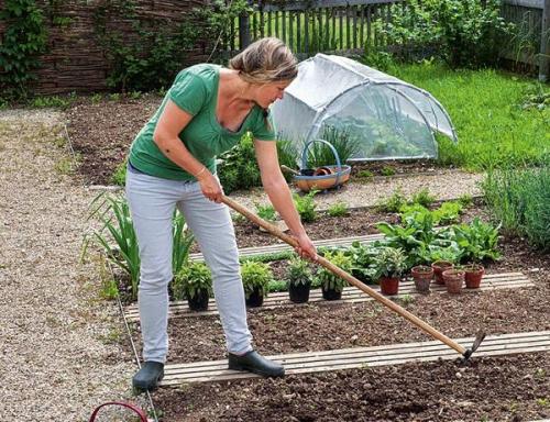 Когда сажать овощи на огороде. Умный огород: севооборот и подбор «соседей» для ранних овощных культур