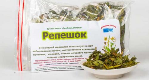 Репешок лечебные свойства и применение. Репешок — лечебные свойства и противопоказания, состав 01