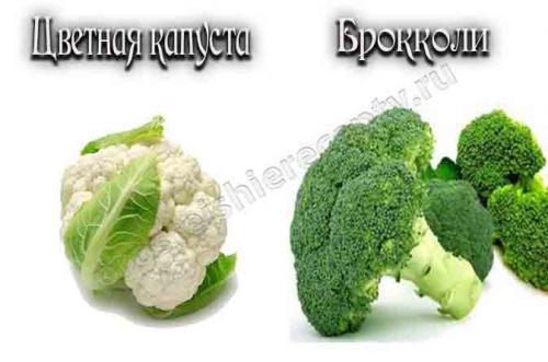 Чем отличается брокколи от цветной капусты по вкусу. Чем отличается брокколи от цветной капусты