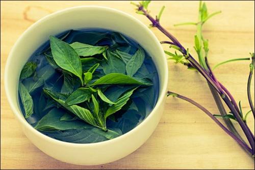 Чай с базиликом польза. Чай с базиликом, как заваривать