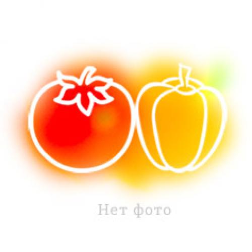 Танацетум снежные звезды. Особенности сорта 03