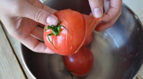 Паста с базиликом. Спагетти с помидорами и базиликом – быстро, вкусно, полезно!