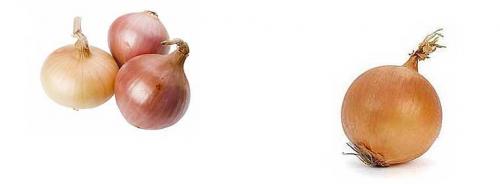 Сколько калорий в луке. Диетические свойства: