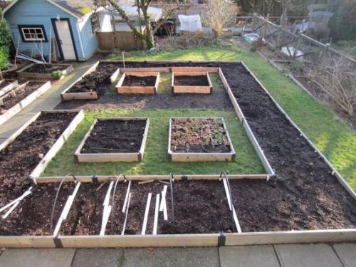 Что посадить в огороде новичку. Планировка Огорода под Посадку Овощей — Секреты Успешного Урожая