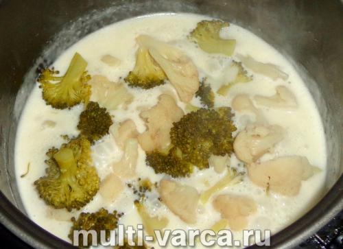 В чем разница между цветной капустой и брокколи? Знакомимся с родственниками огородной капусты 25