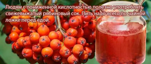 Чем полезна красная рябина для организма женщины. Рябина красная полезные и лечебные свойства