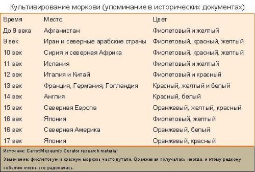 Морковь изначально была фиолетовой.. Какого цвета изначально (до селекции) была морковь? 15