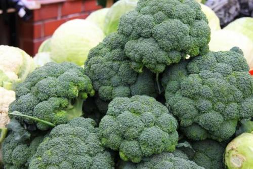 Как выглядит брокколи. Лучшие сорта для открытого грунта