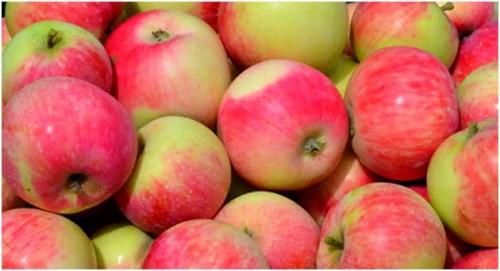 Как сушить яблоки в микроволновке. Как сушить яблоки в духовке, электросушилке,  микроволновке в домашних условиях