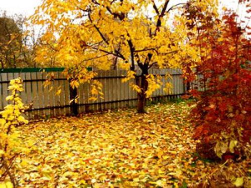 Труд людей осенью рассказ. Что делают люди осенью.