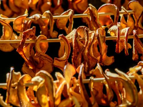 Как сушить яблоки над газовой плитой. Сушка яблок на солнце