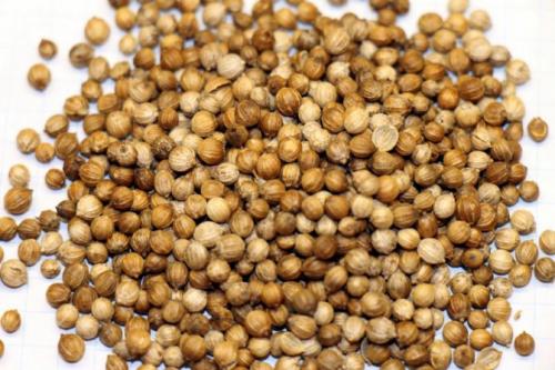 Базилик и кинза польза. Химический состав