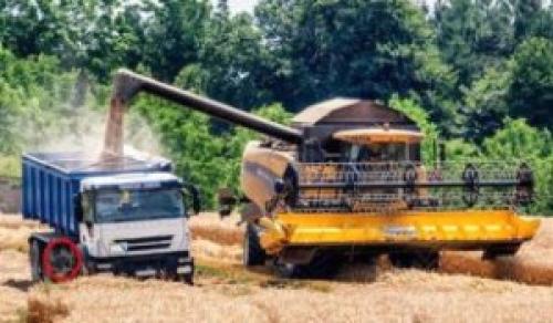 Чем занимаются люди осенью в. Что делают люди осенью.