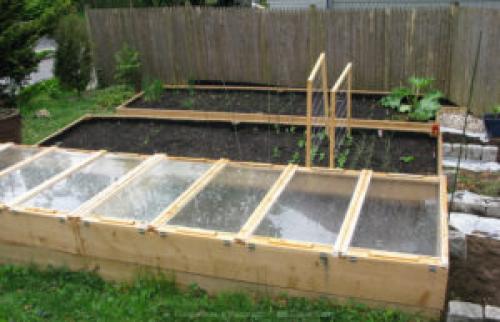 Что и когда сеять в грунт. Сроки посева семян овощных культур в открытый грунт