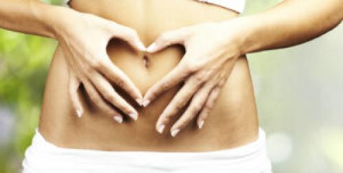 Цветок мурайя лечебные свойства. Мурайя (Murraya) 01