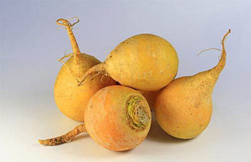 Что необычного посадить в огороде. Пасленовые