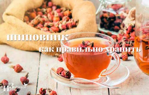 Как сохранить шиповник на зиму в домашних условиях. Как сушить шиповник в домашних условиях