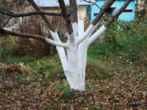 Что делают люди осенью.