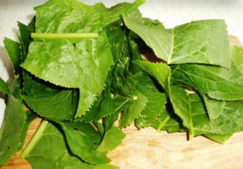 Хрен польза и вред для здоровья организма. Хрен с медом: польза для здоровья 03