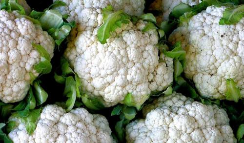 В чем разница между цветной капустой и брокколи? Знакомимся с родственниками огородной капусты