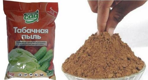 Табачная пыль вред. Способы применения табачной пыли на огороде и в саду
